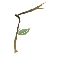 Formation Counseling Services Logo