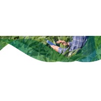 Agran - Agronomia & Marketing Rural Logo