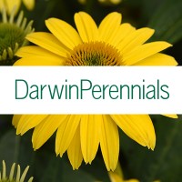 Darwin Perennials Logo