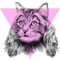 Hyperballad Music Logo
