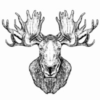 Anchorage Distillery Logo