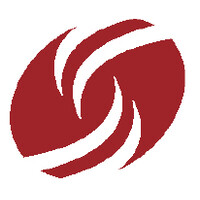 Dress for Success Tampa Bay Logo