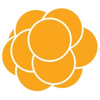 Cloudberry Digital Logo