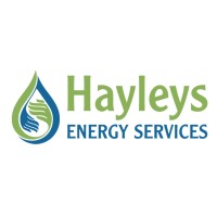 Hayleys Energy Services Logo