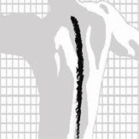 McKay Chiropractic & Sports Therapy Logo