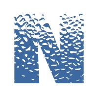 Nanomatronix Logo