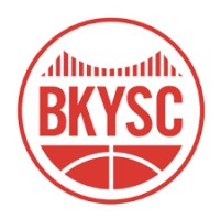 Brooklyn Youth Sports Club Logo