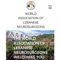 WORLD ASSOCIATION OF LEBANESE NEUROSURGEONS Logo