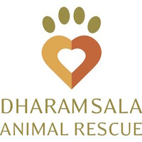 Dharamsala Animal Rescue Logo