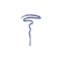 Skviggle Consulting Logo
