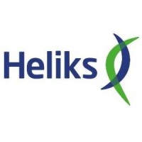 Heliks Software/Consult Logo