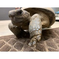 EMERALD COAST WILDLIFE REFUGE INC Logo