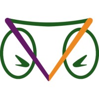 Camaleon Systems Inc. Logo