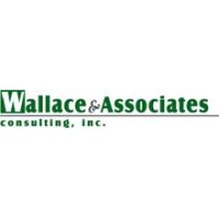 Wallace & Associates Consulting, Inc. Logo