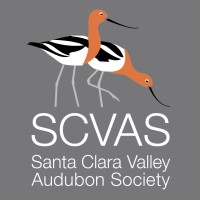 SANTA CLARA VALLEY AUDUBON SOCIETY Logo