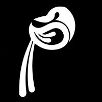 Magpie Media (NZ) Logo