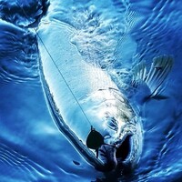 Wicked Lures LLC Logo