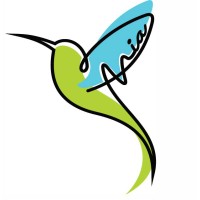 Mid-South Immigration Advocates, Inc. Logo