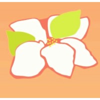 Magnolia Womens Recovery Program Logo