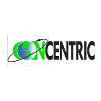 CONCENTRIC GROUP LLC Logo