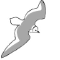 Dutch Birding Association Logo