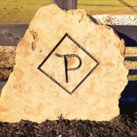 Diamond P Cattle Company Logo