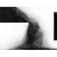 SReilly LLC Logo