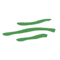 South Whidbey Physical Therapy & Sports Clinic Logo