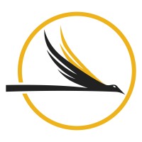 Falcon Construction LLC Logo