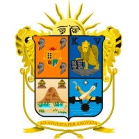 PRESIDENCIA MUNICIPAL DE IRAPUATO Logo