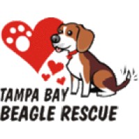 Tampa Bay Beagle Rescue, Inc. Logo