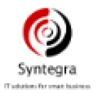 Syntegra Solutions Inc. Logo