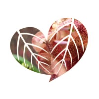 Waterdrinker Aalsmeer B.V. Logo