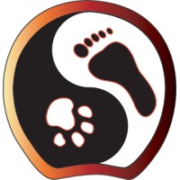 Photonic Therapy Institute Logo