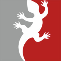 Promo Cars - automobilių apklijavimo centras Logo