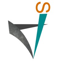 Viking Systems - VS - Brasil Logo