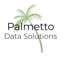 Palmetto Data Solutions LLC Logo