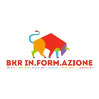 BKR InFormAzione Logo