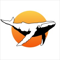 Skywhale & Co Logo