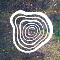Evermaven Agency Logo