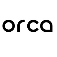 Orca Intelligence Logo