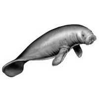 Manatee, Inc. Logo
