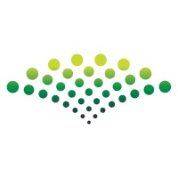 Numana Logo