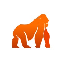 STEL Solutions Logo