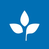LiveCapital Brasil Logo