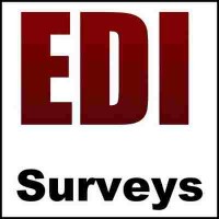 EDI Surveys Ltd Logo