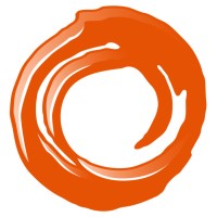 pNeo LLC Logo