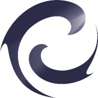 Nassel Soluções em Energia e Logistica Logo