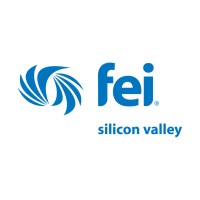 Financial Executives International, Silicon Valley Logo
