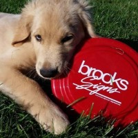 Brooks Signs Logo